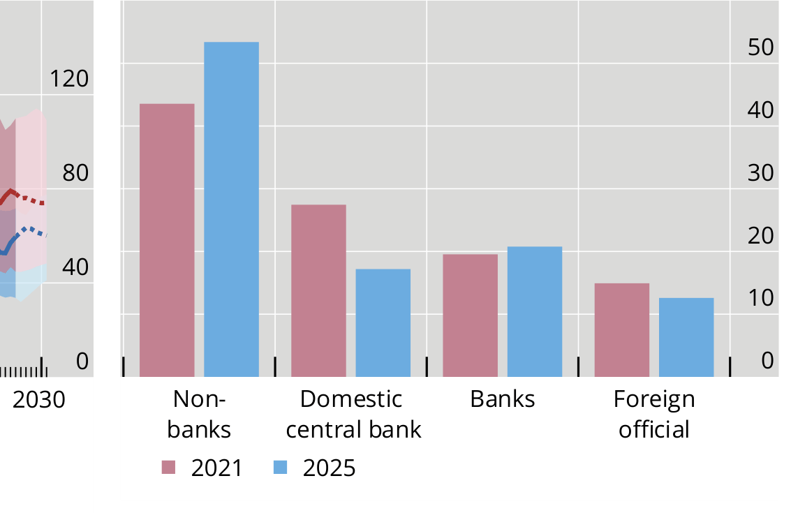 Bar chart comparing non-banks, domestic central bank, banks, and foreign official holders of government debt between 2021 an…